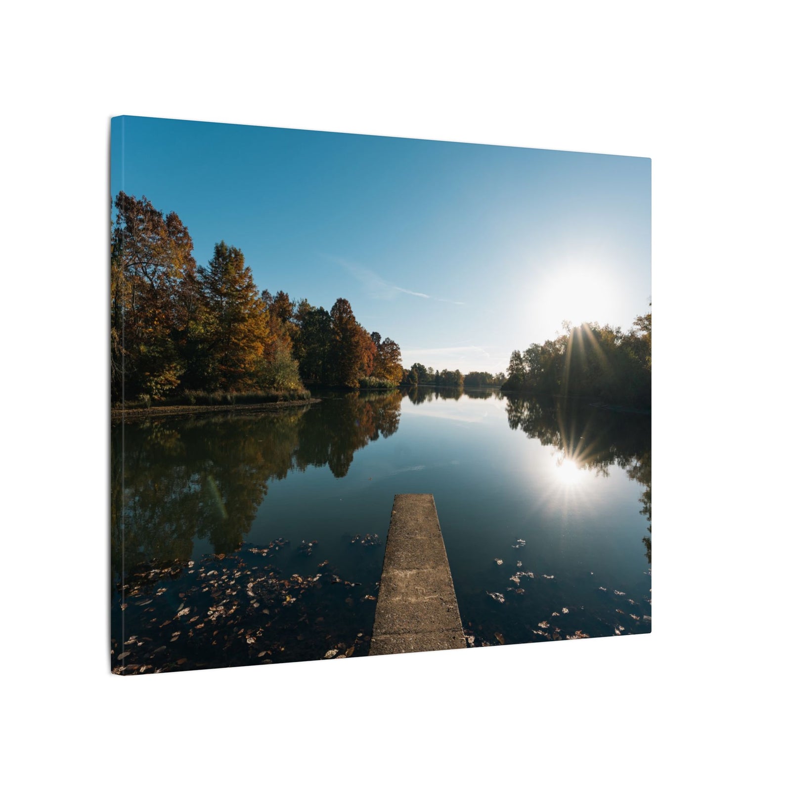 Print of Campus Lake at SIU Campus