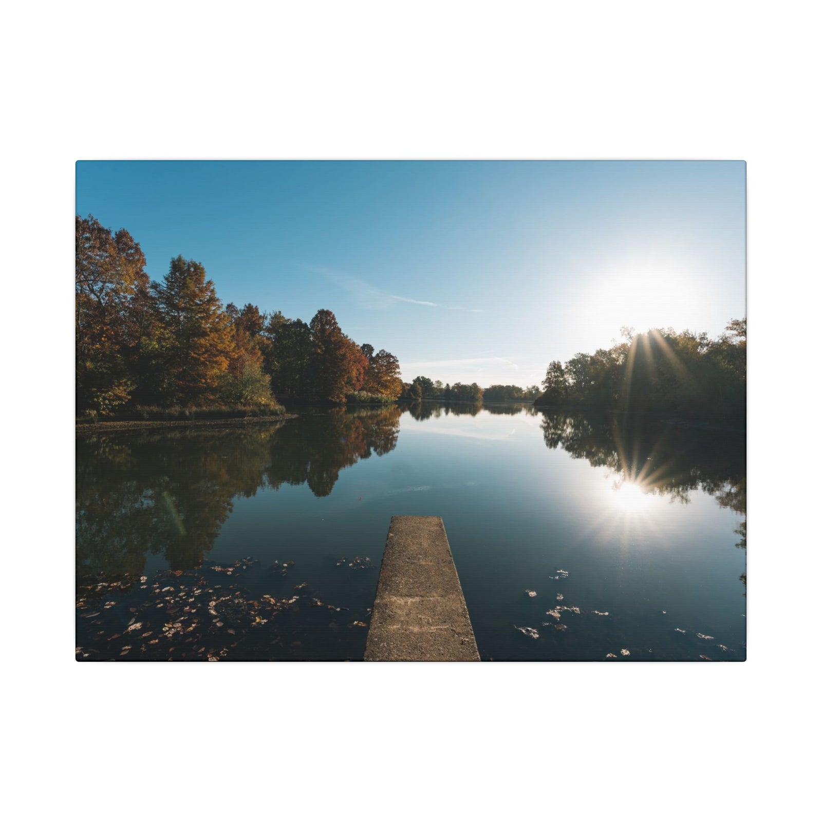 Print of Campus Lake at SIU Campus