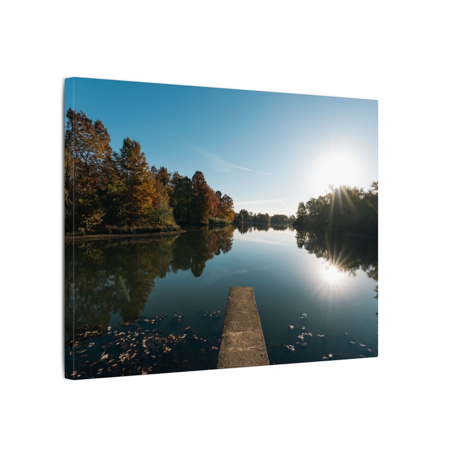 Print of Campus Lake at SIU Campus