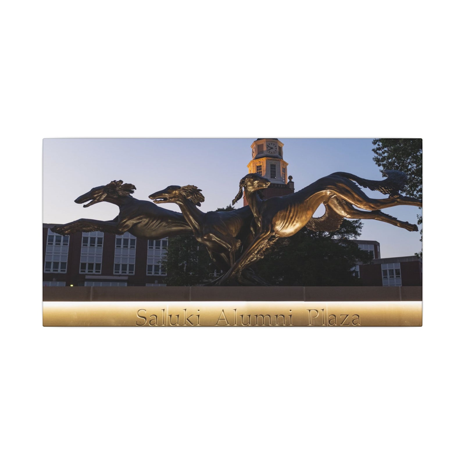 Print of Saluki Alumni Plaza at Twilight