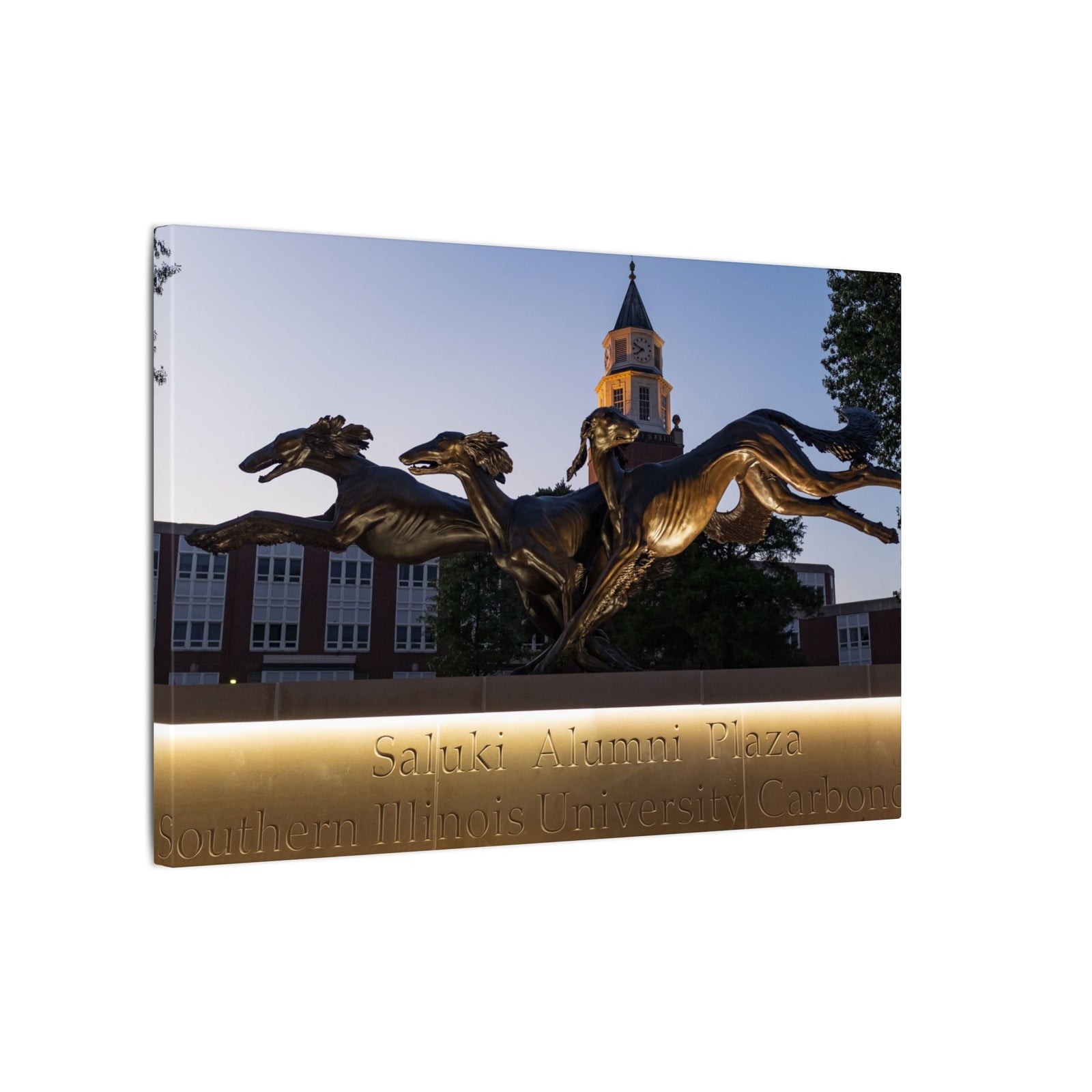 Print of Saluki Alumni Plaza at Twilight
