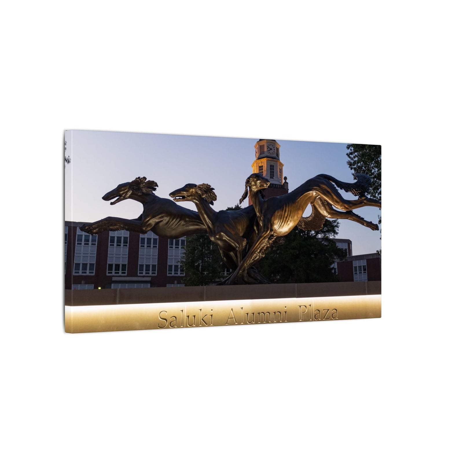 Print of Saluki Alumni Plaza at Twilight