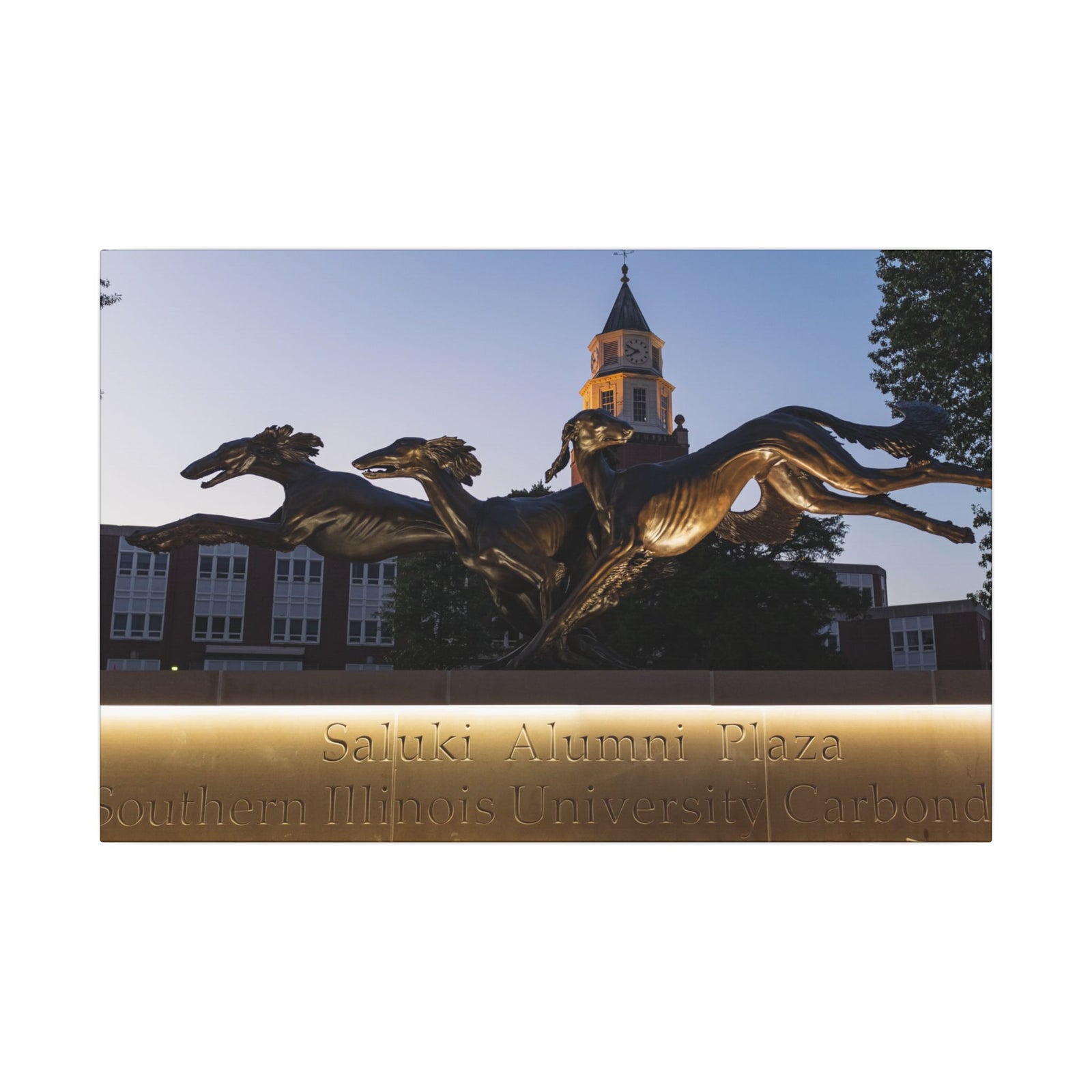 Print of Saluki Alumni Plaza at Twilight