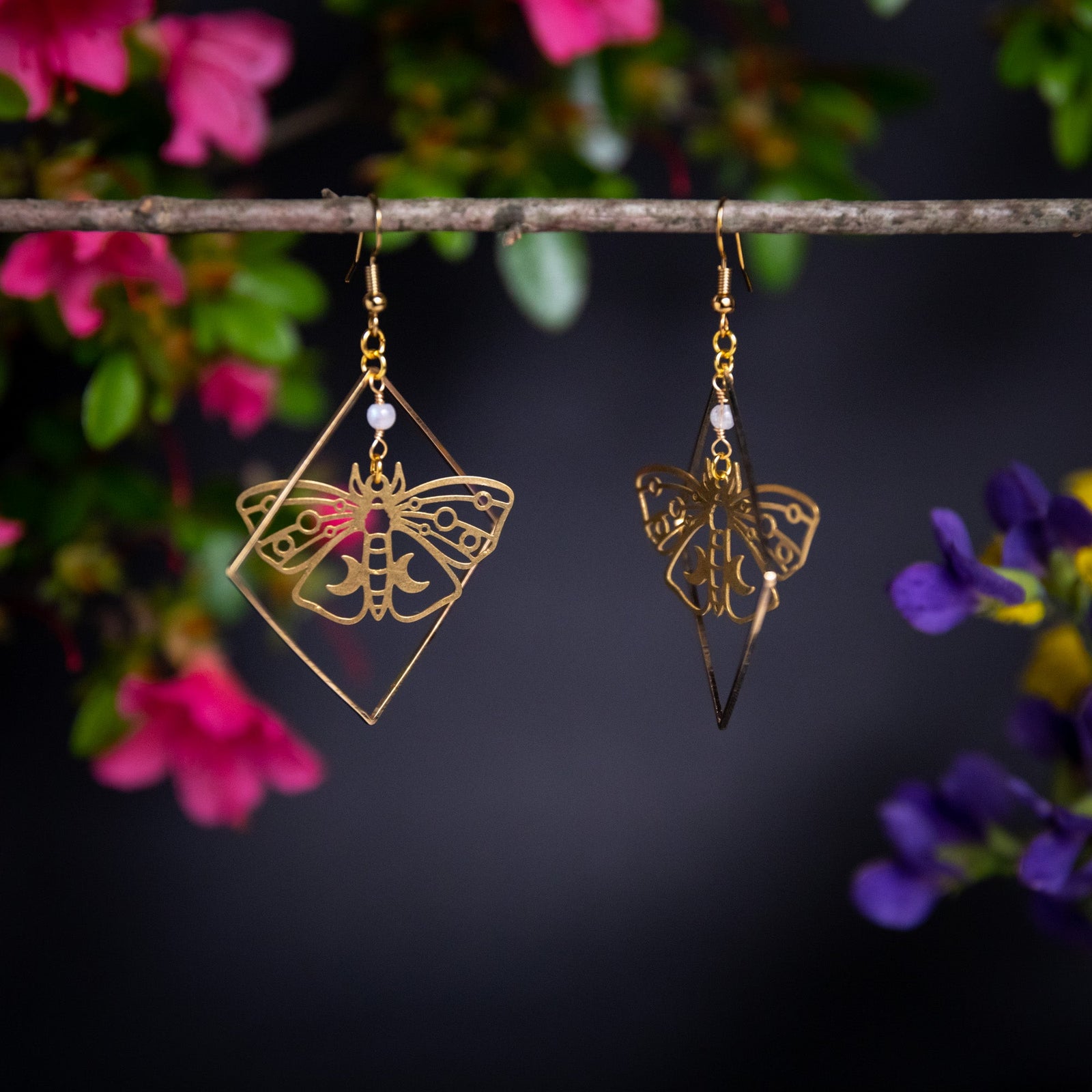 Moth Specimen in Frame Earrings