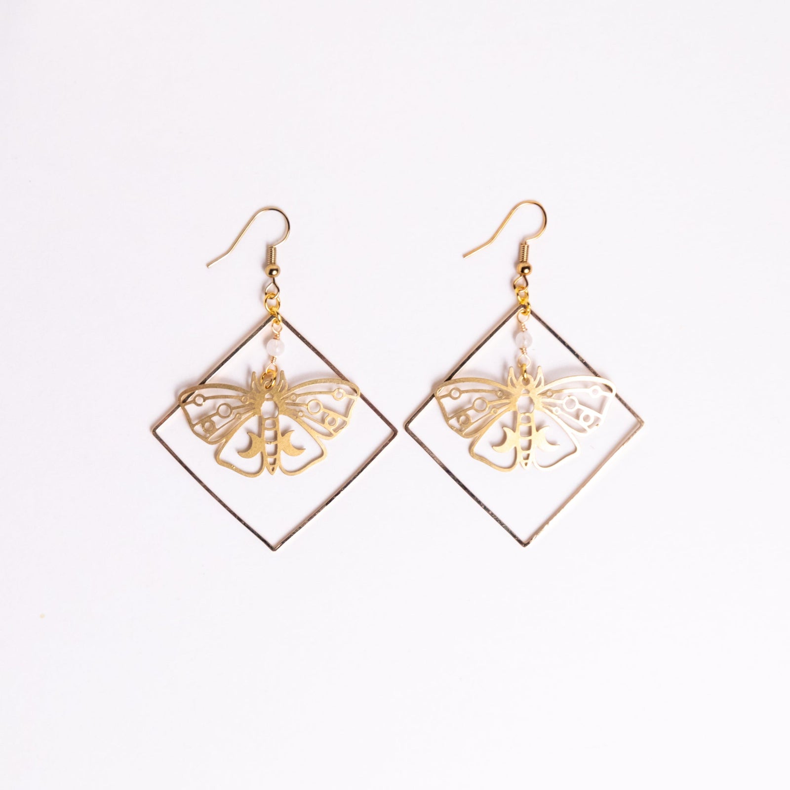 Moth Specimen in Frame Earrings