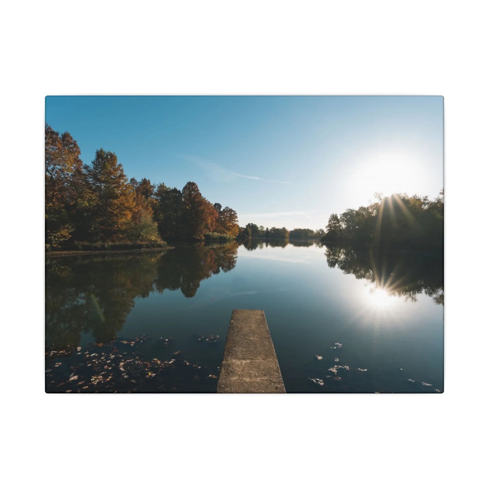 Print of Campus Lake at SIU Campus