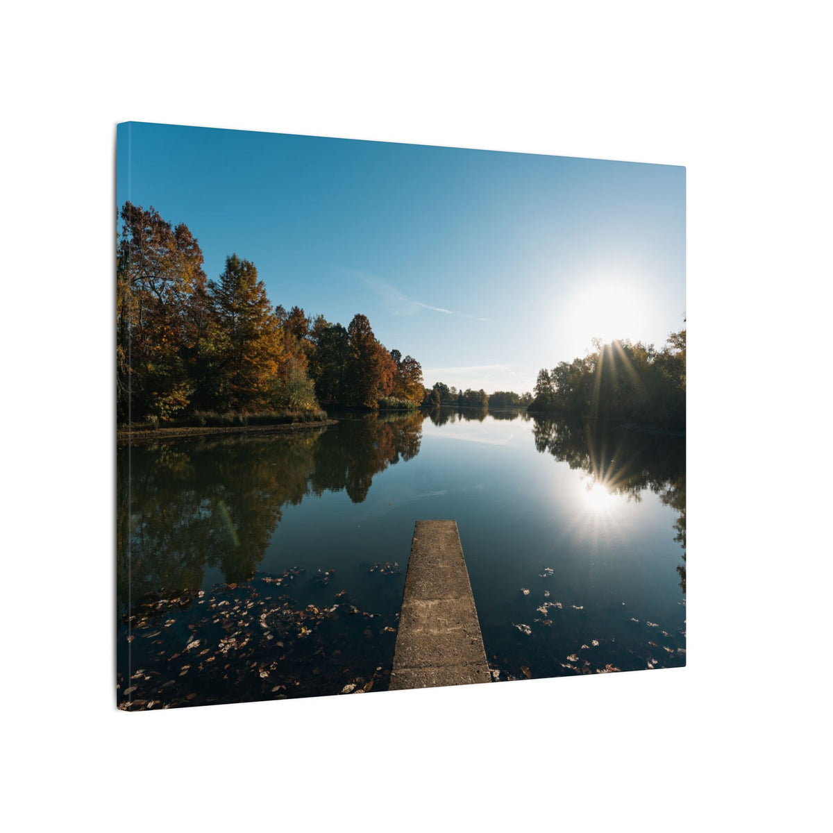 Print of Campus Lake at SIU Campus