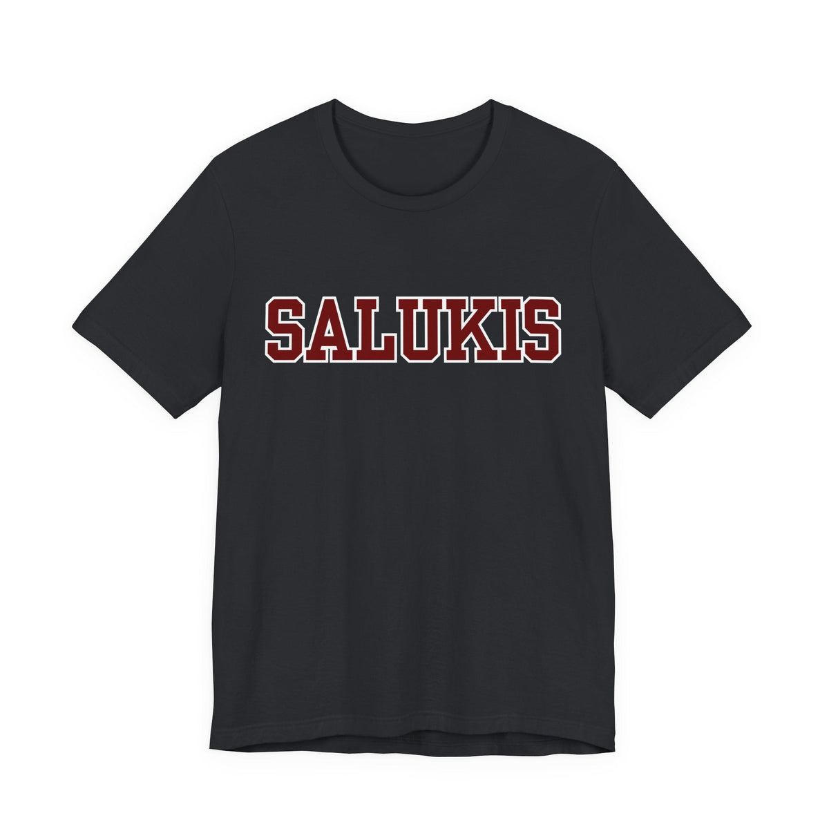 Salukis/We Pregame Harder than You Party (Unisex Jersey Short Sleeve Tee)