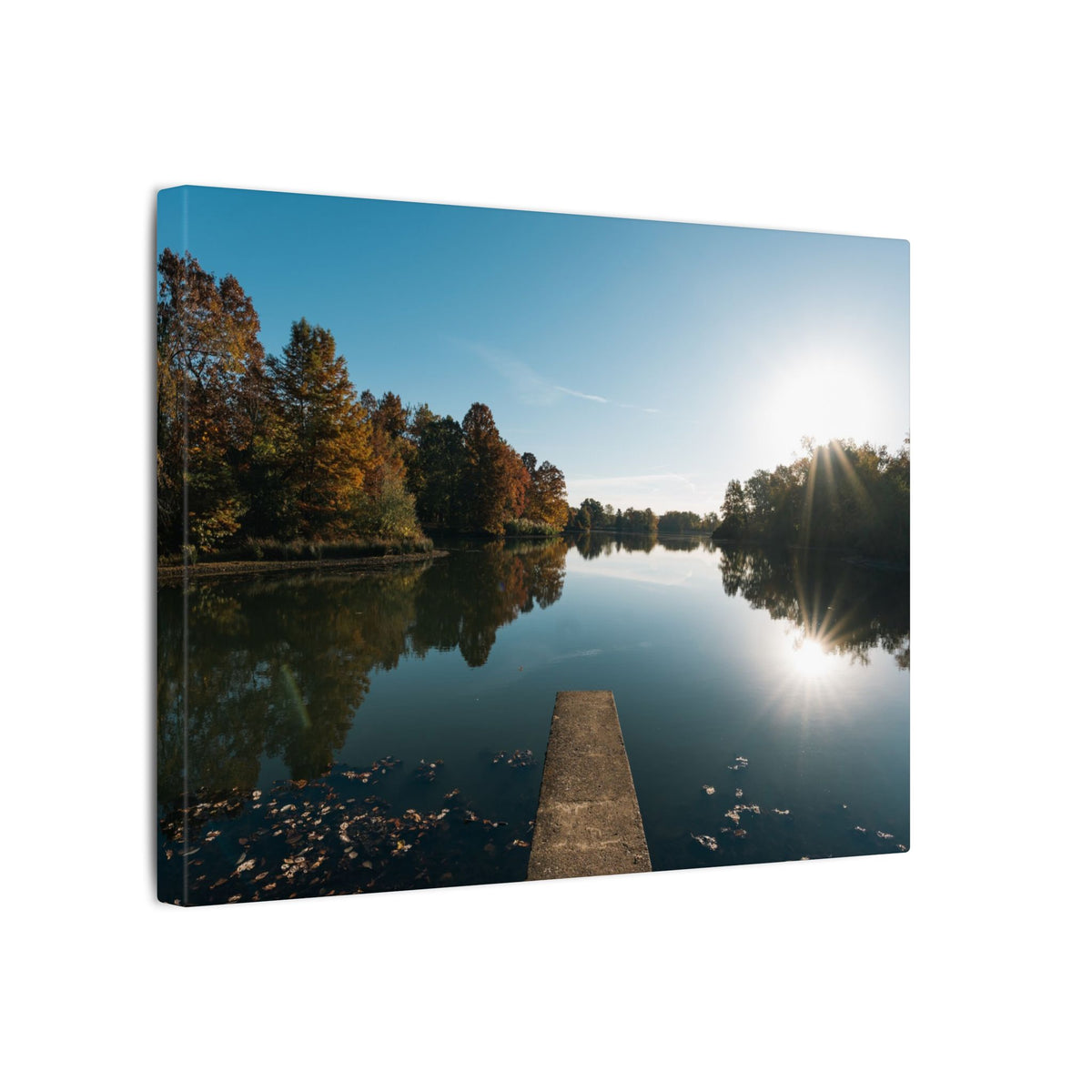 Print of Campus Lake at SIU Campus