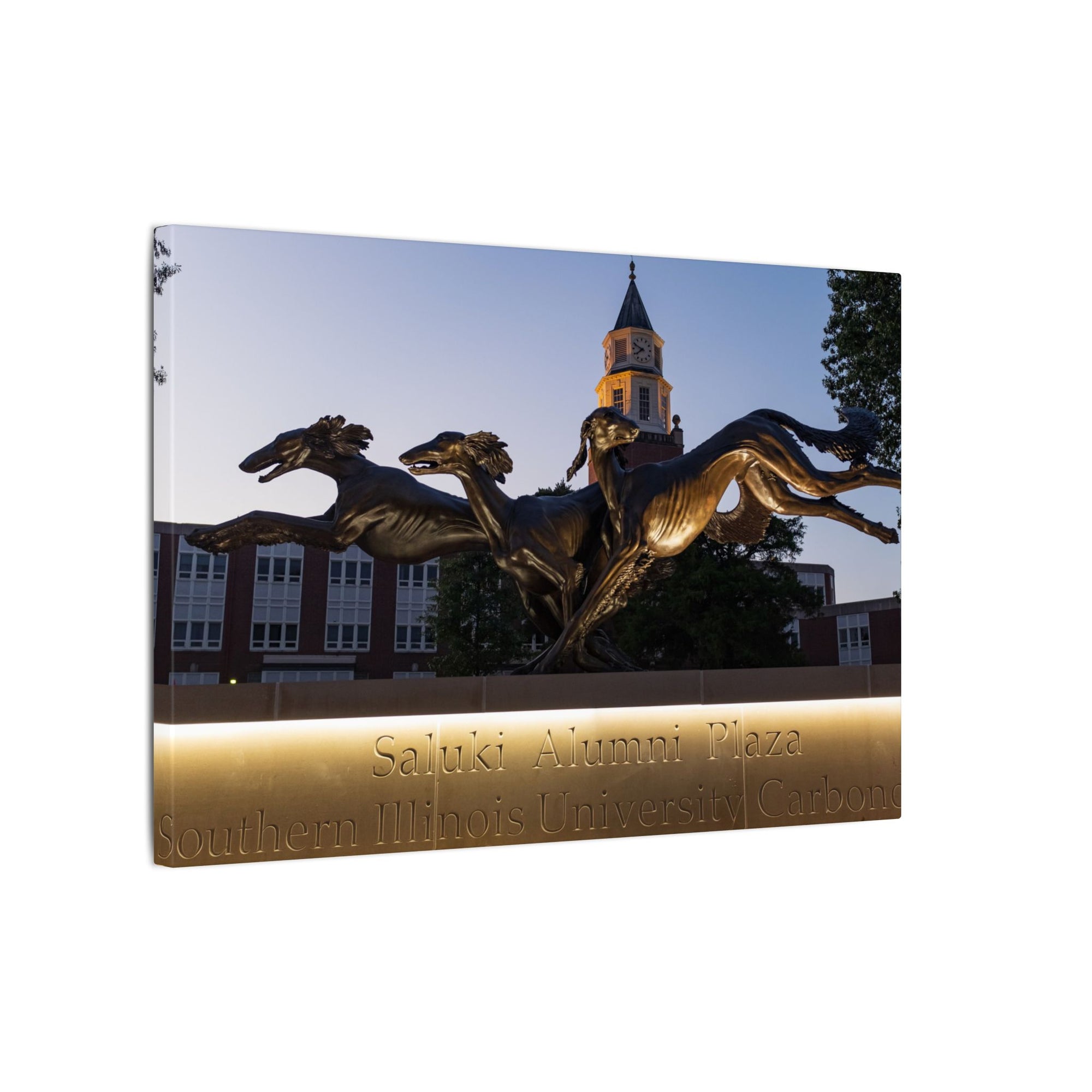 Print of Saluki Alumni Plaza at Twilight