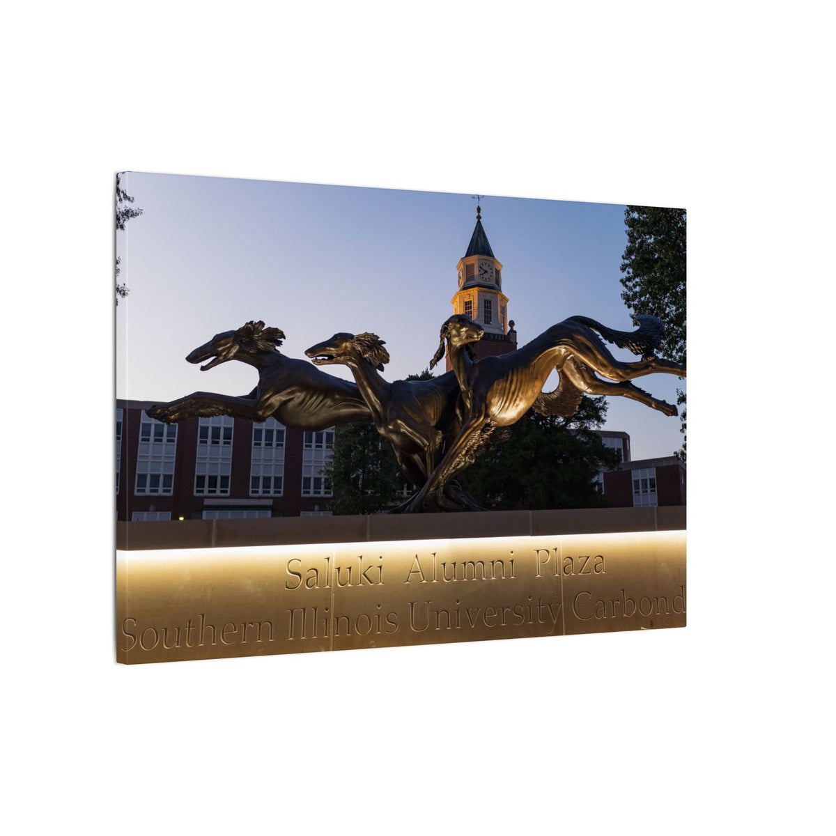 Print of Saluki Alumni Plaza at Twilight