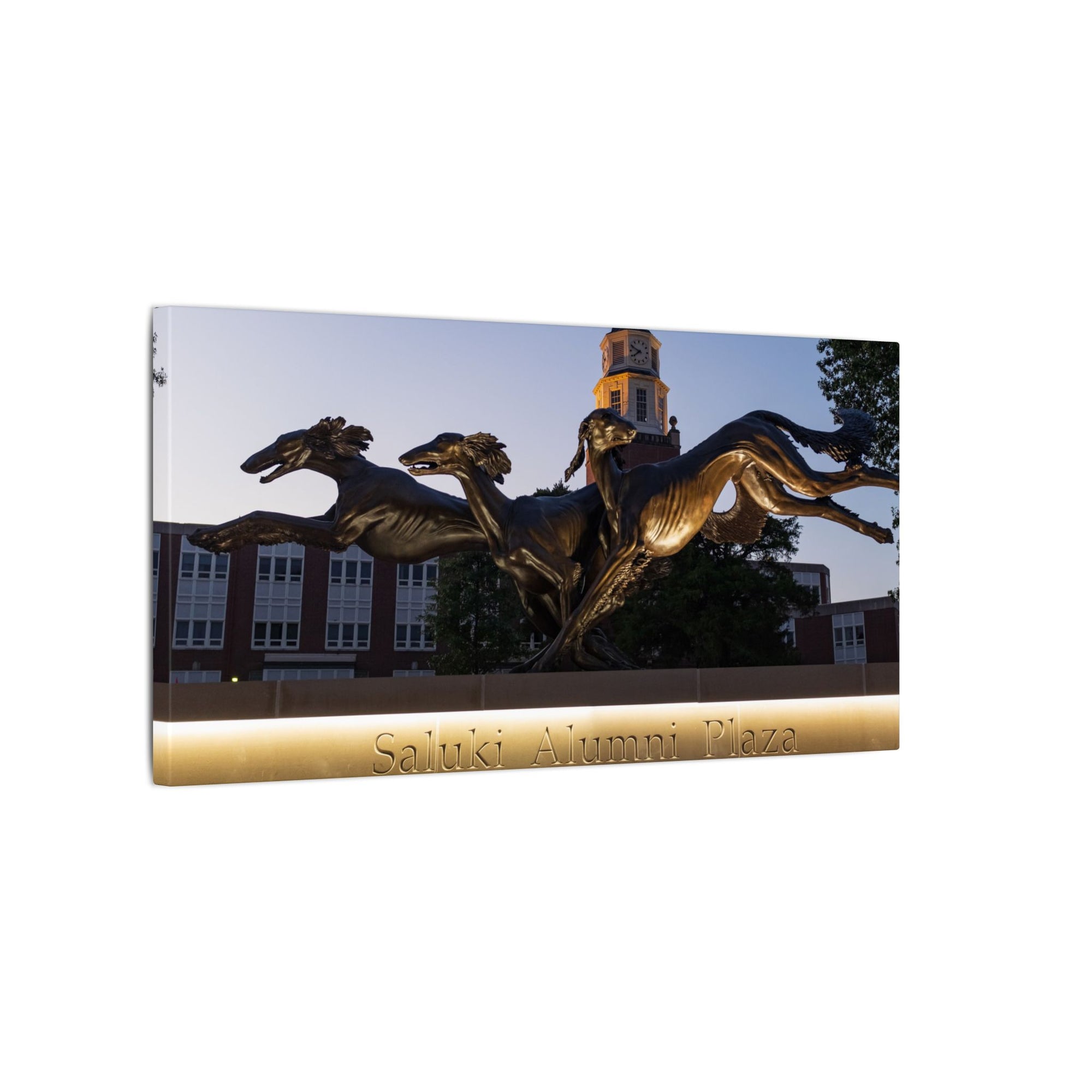 Print of Saluki Alumni Plaza at Twilight