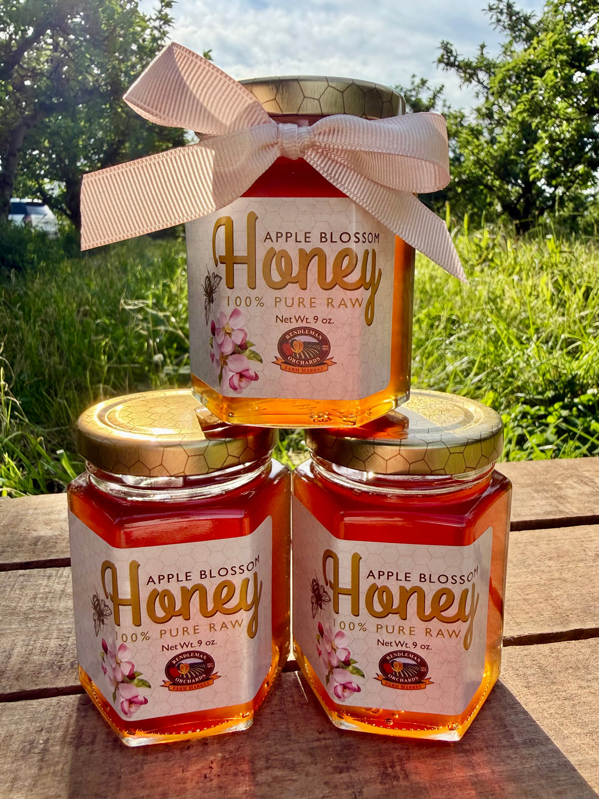 Rendleman Apple Blossom Honey ~ Estate Reserve