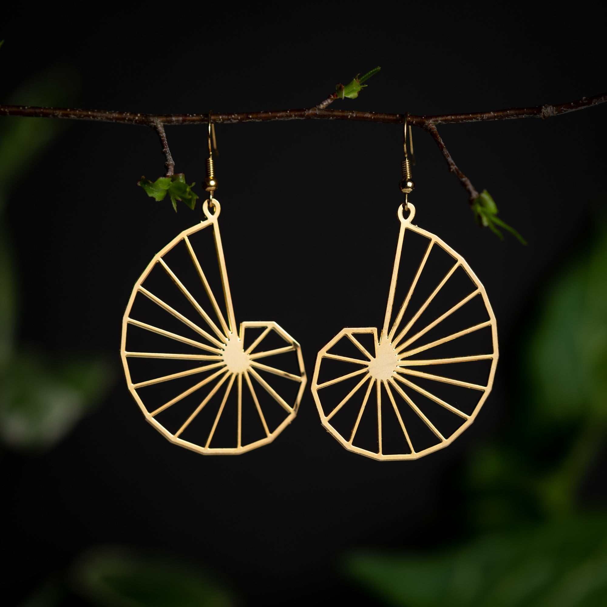 Nautilus Spiral Earrings in Gold
