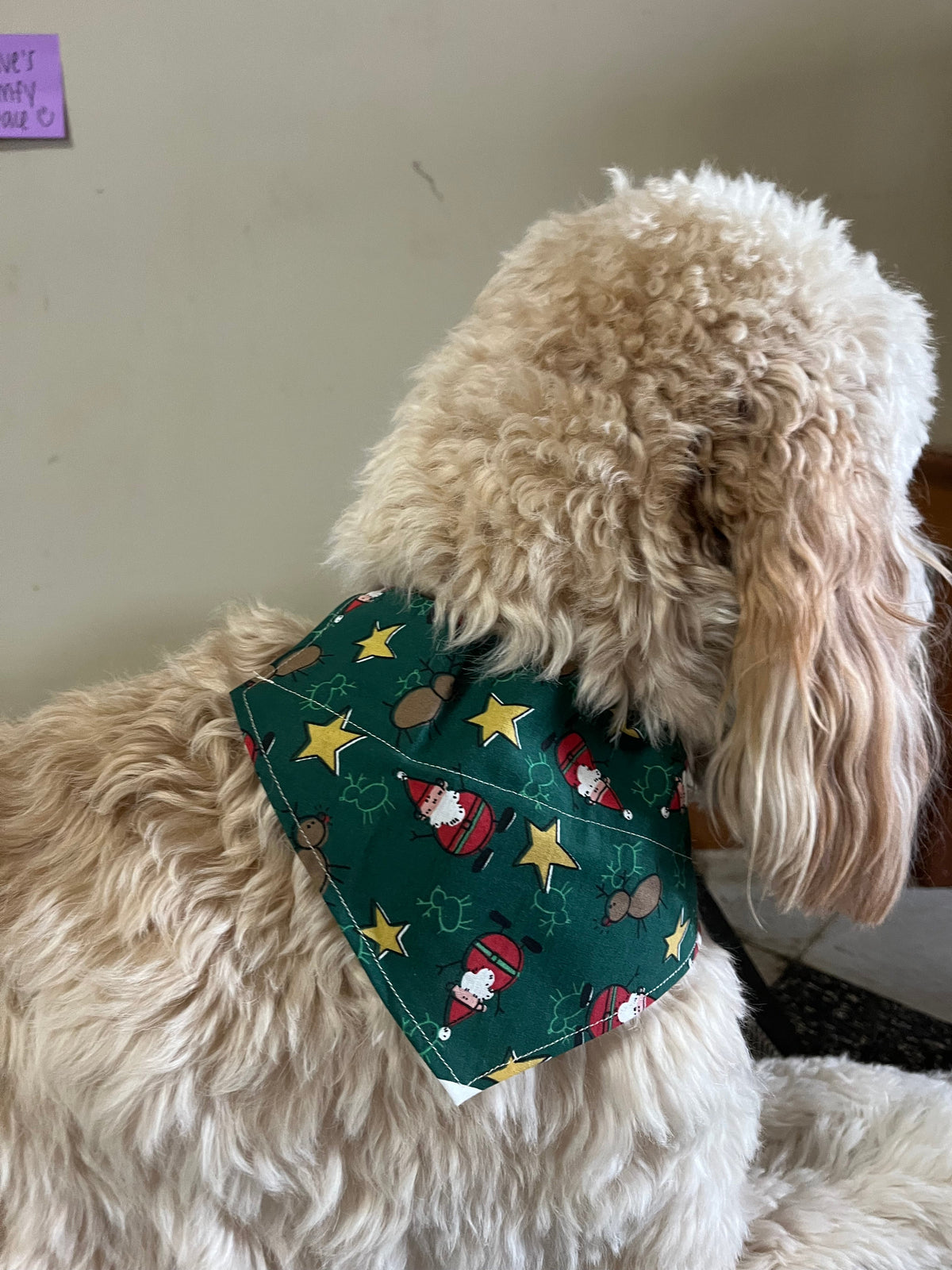 Santa &amp; Reindeer Dog Bandana Large