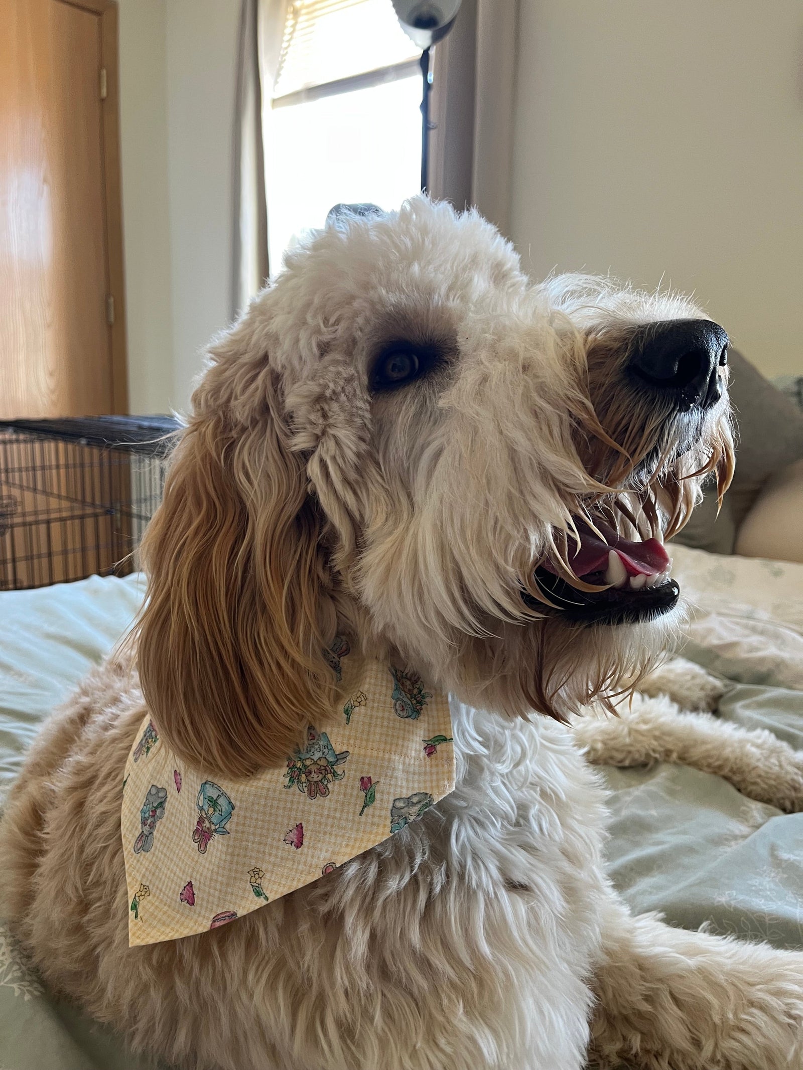 Easter Dog Bandana