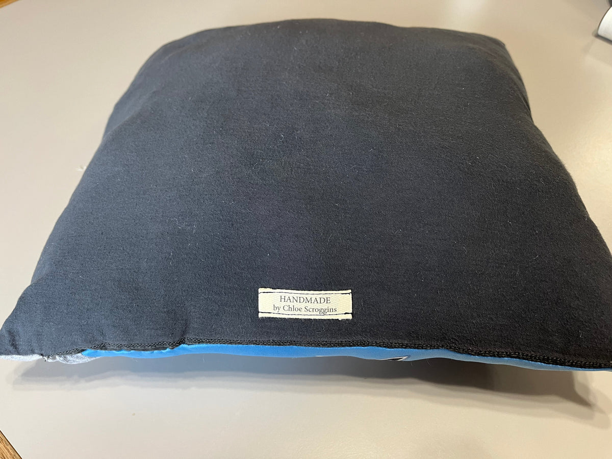 Olympia Softball T-Shirt Pillow