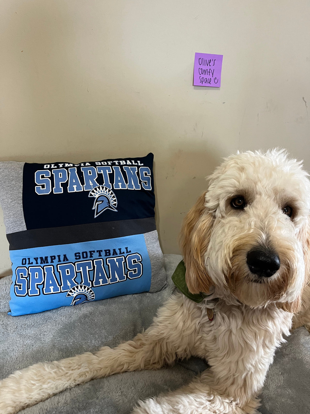 Olympia Softball T-Shirt Pillow