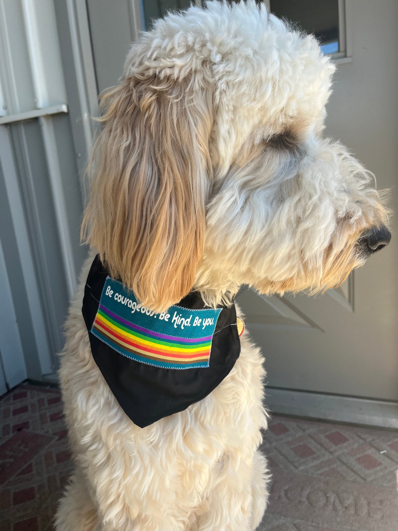 Unique and Custom Dog Bandana