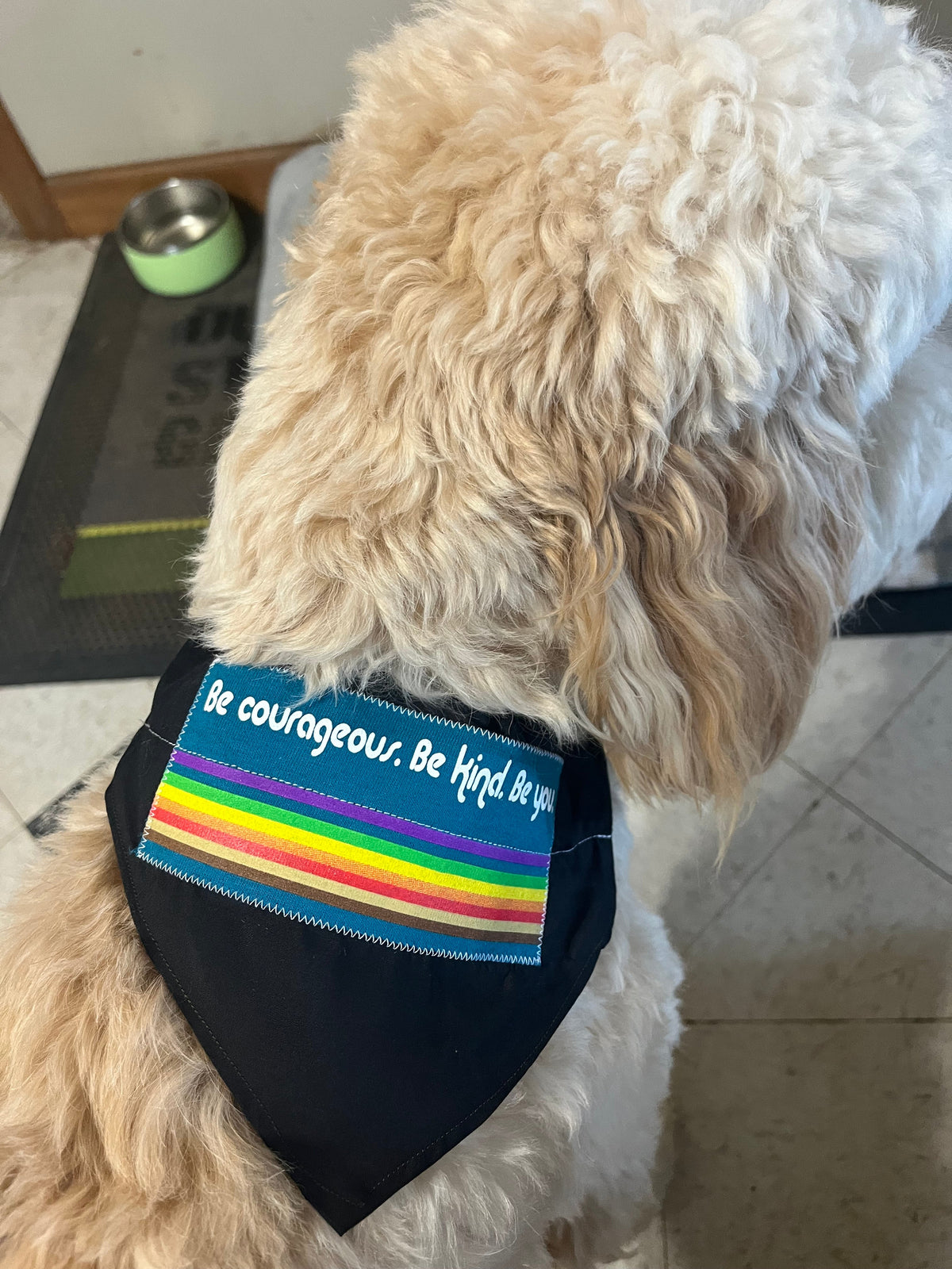 Unique and Custom Dog Bandana