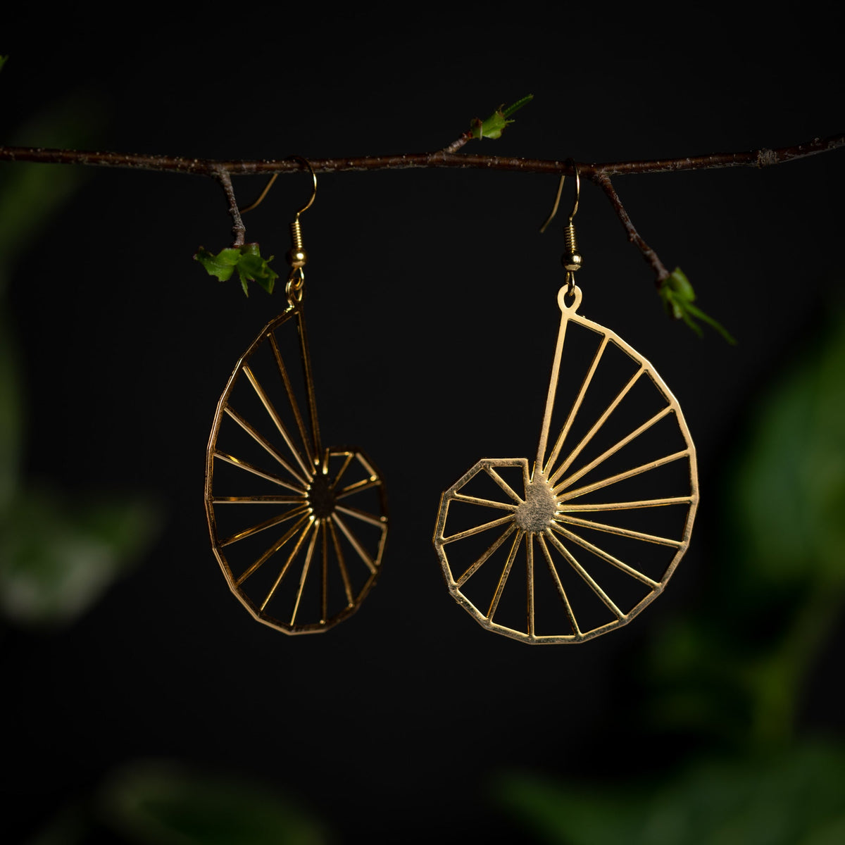 Nautilus Spiral Earrings in Gold