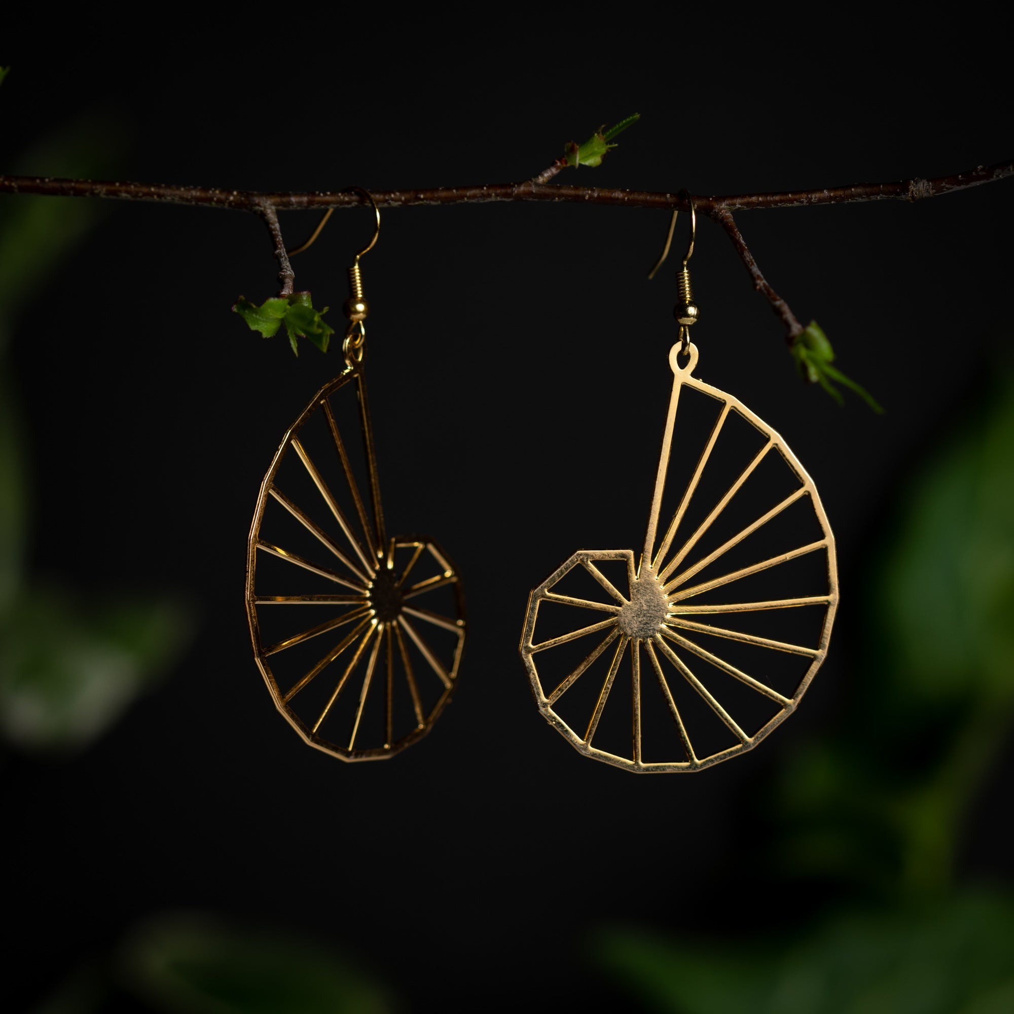 Nautilus Spiral Earrings in Gold