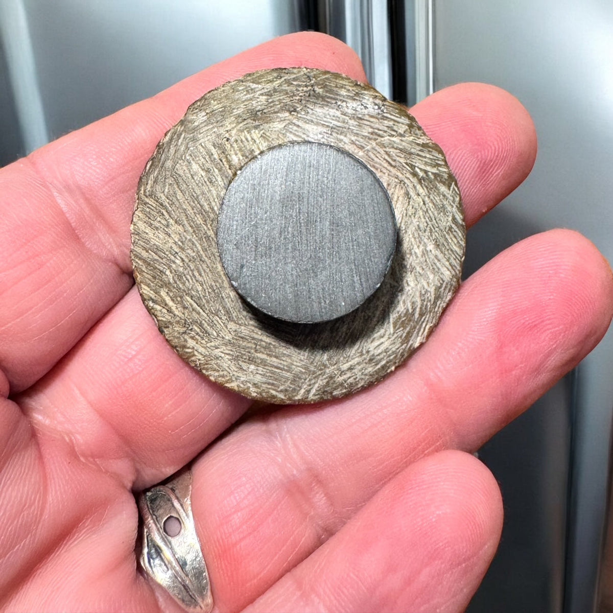 magnet back ammonite fossil kinley jewelry