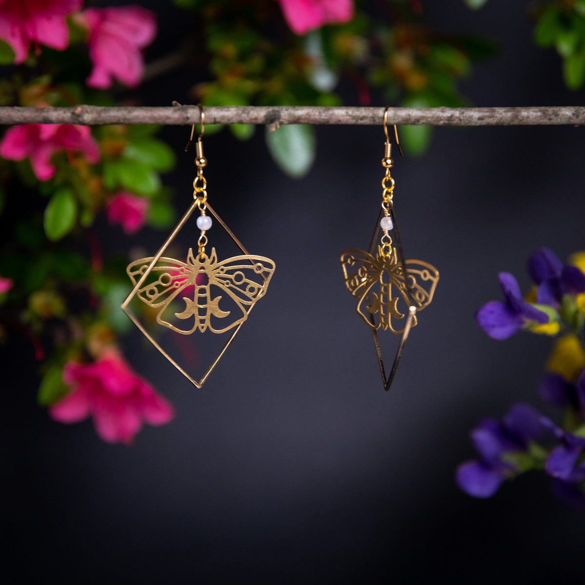 Moth Specimen in Frame Earrings