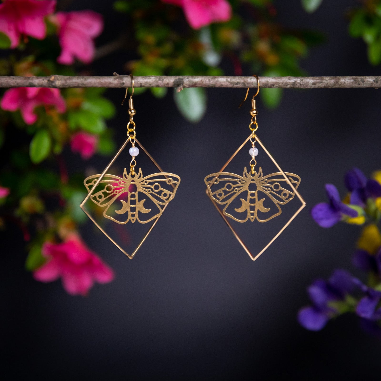 Moth Specimen in Frame Earrings