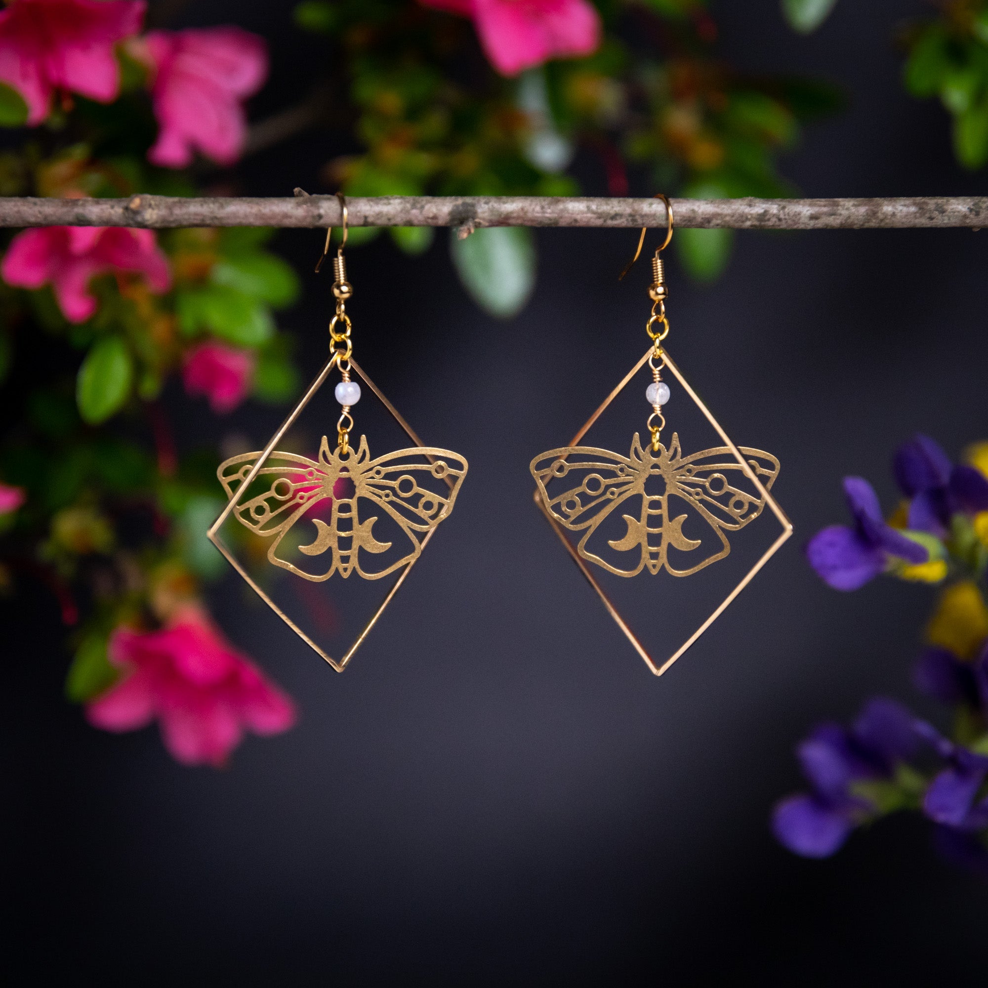 Moth Specimen in Frame Earrings