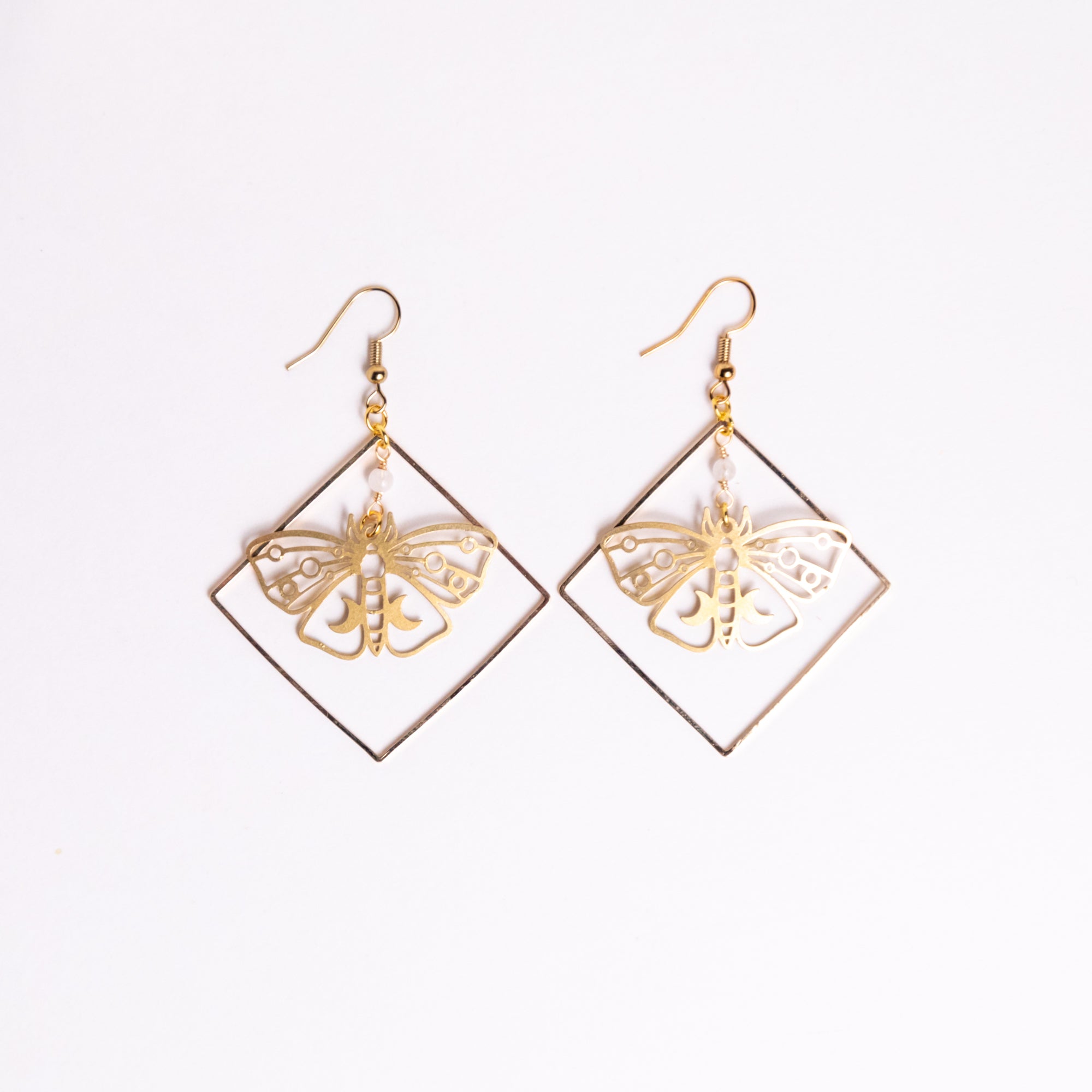 Moth Specimen in Frame Earrings