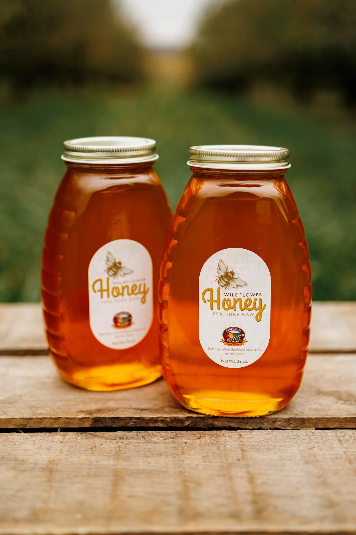 Rendleman Orchards Wildflower Honey