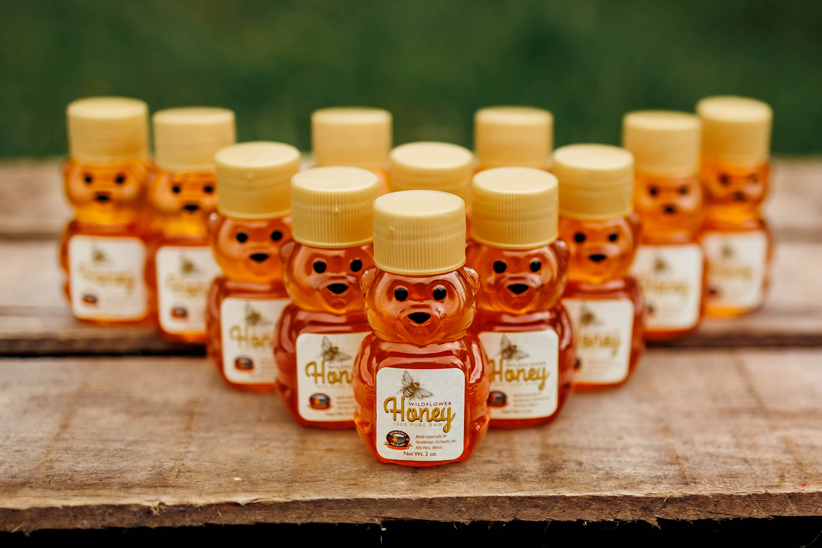 Rendleman Orchards Wildflower Honey