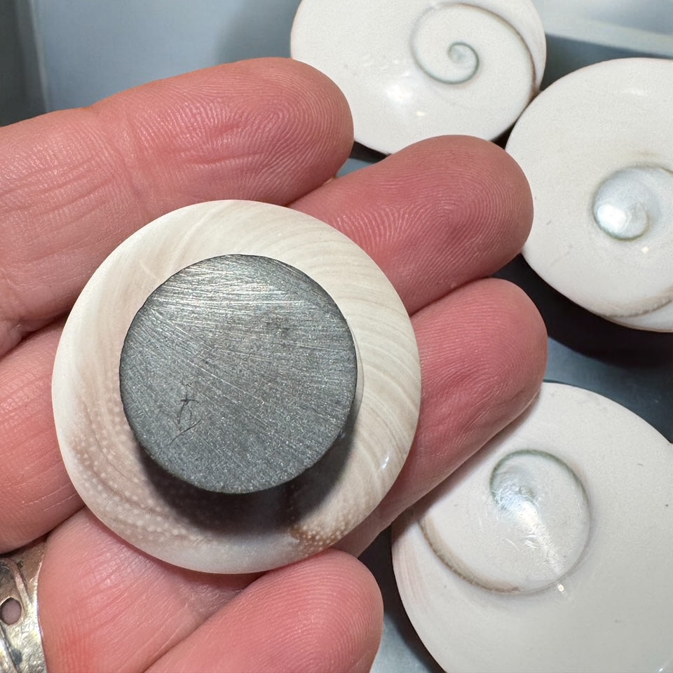 magnet back Shivas Eye Shell Refrigerator Magnets