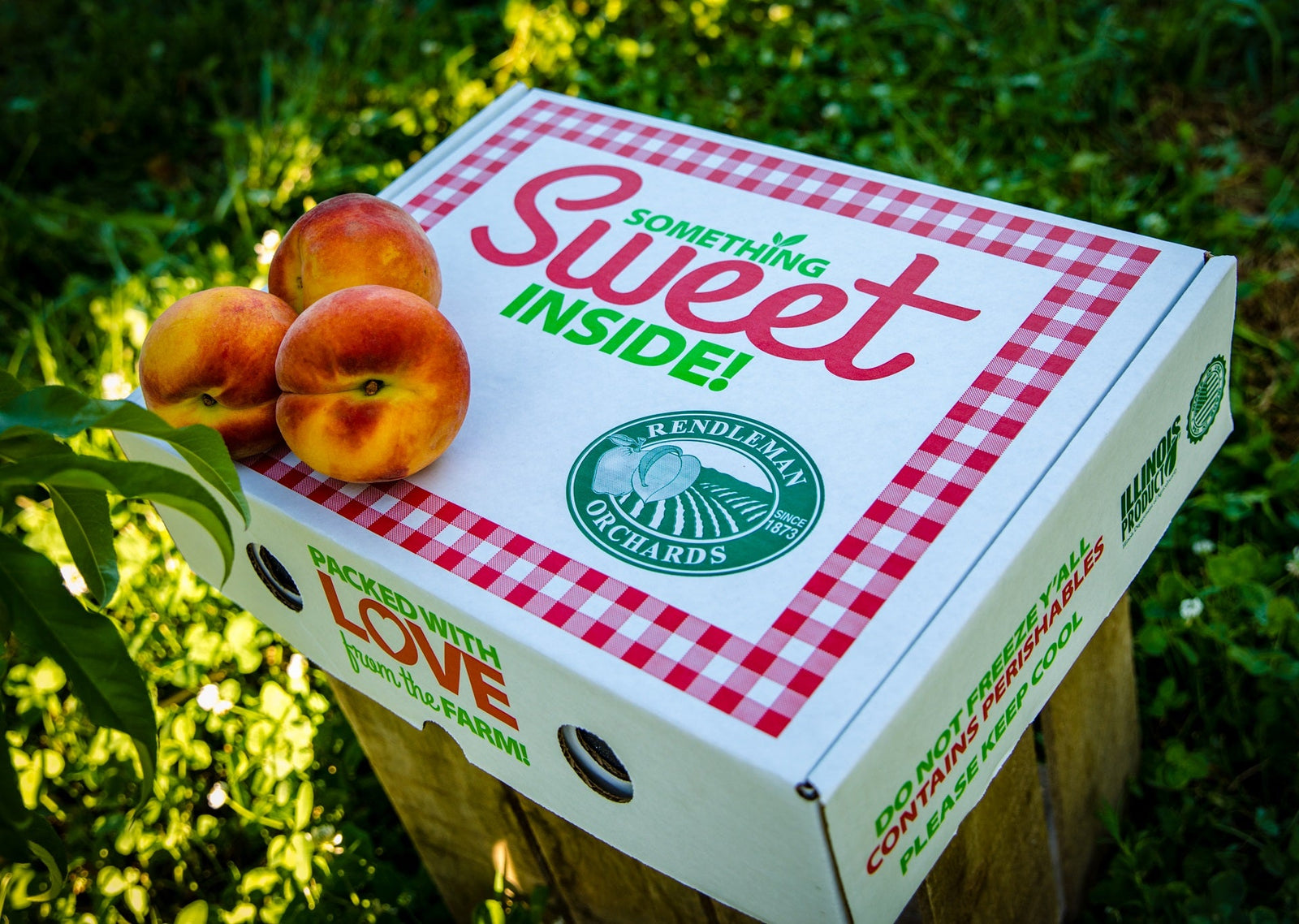 Peach Gift Box