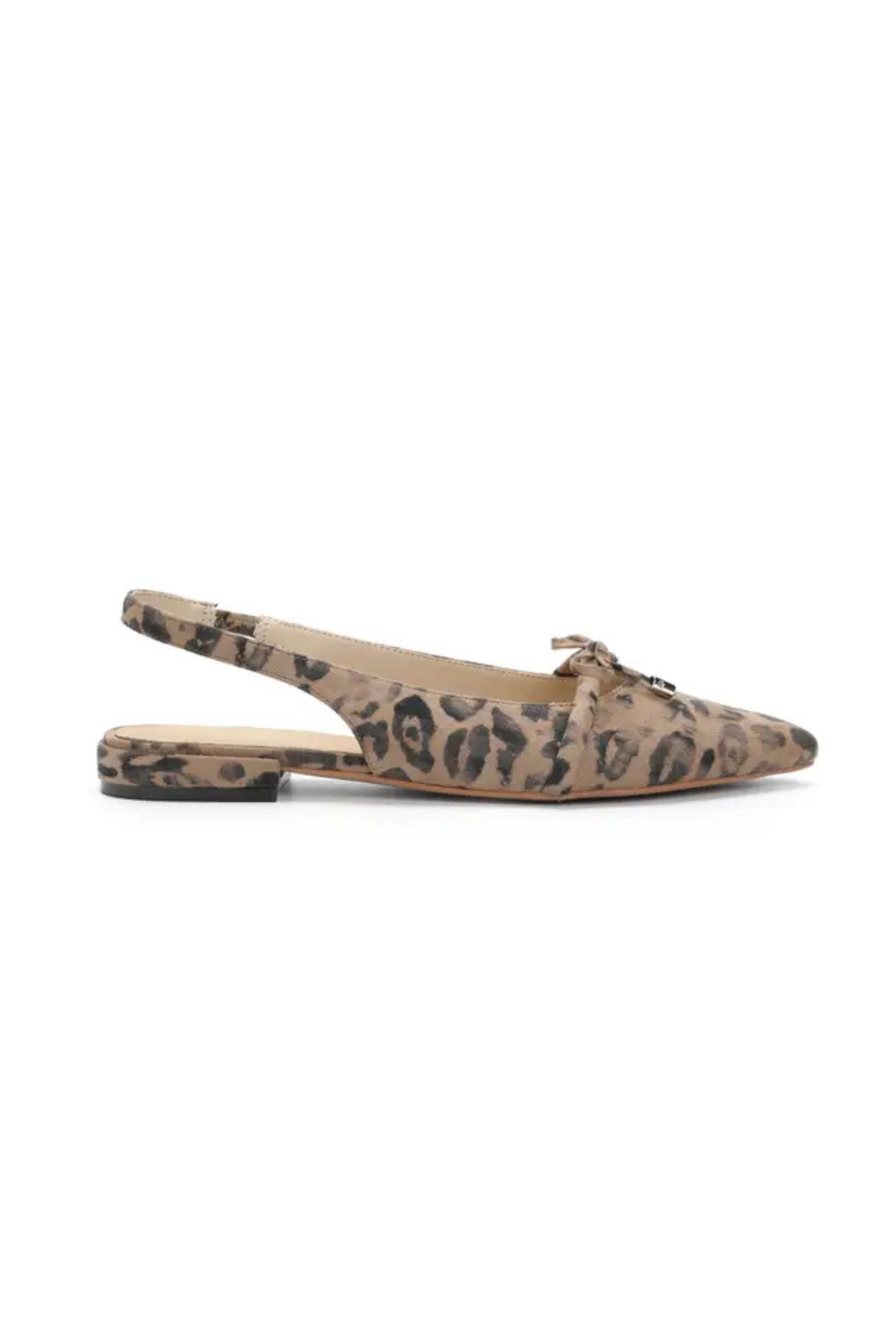Pardina Leopard Slide