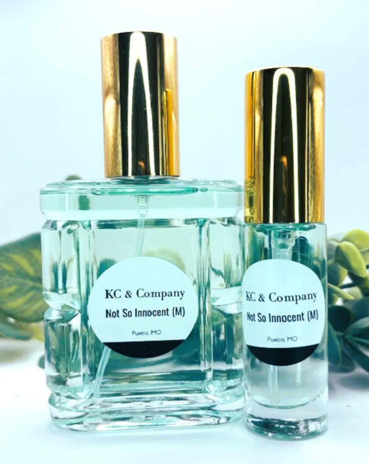 KC &amp; Co Perfume - Not that Inncent
