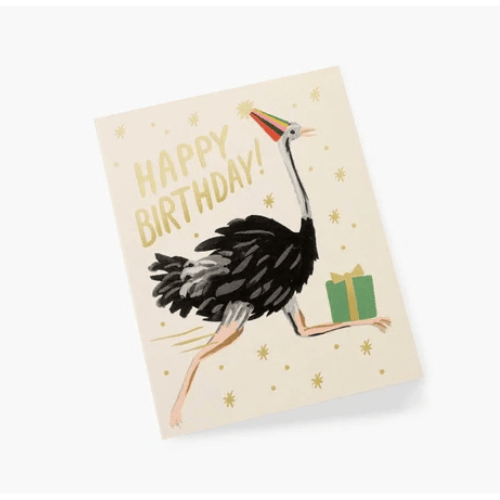 Ostrich Happy Birthday