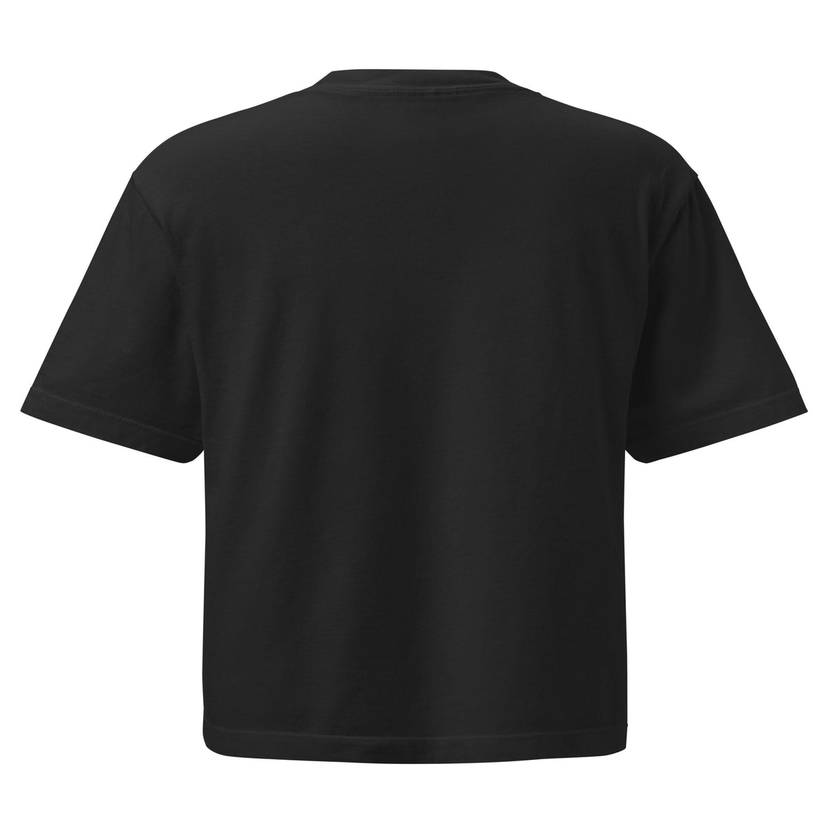 Double Coverage Women’s heavyweight boxy tee