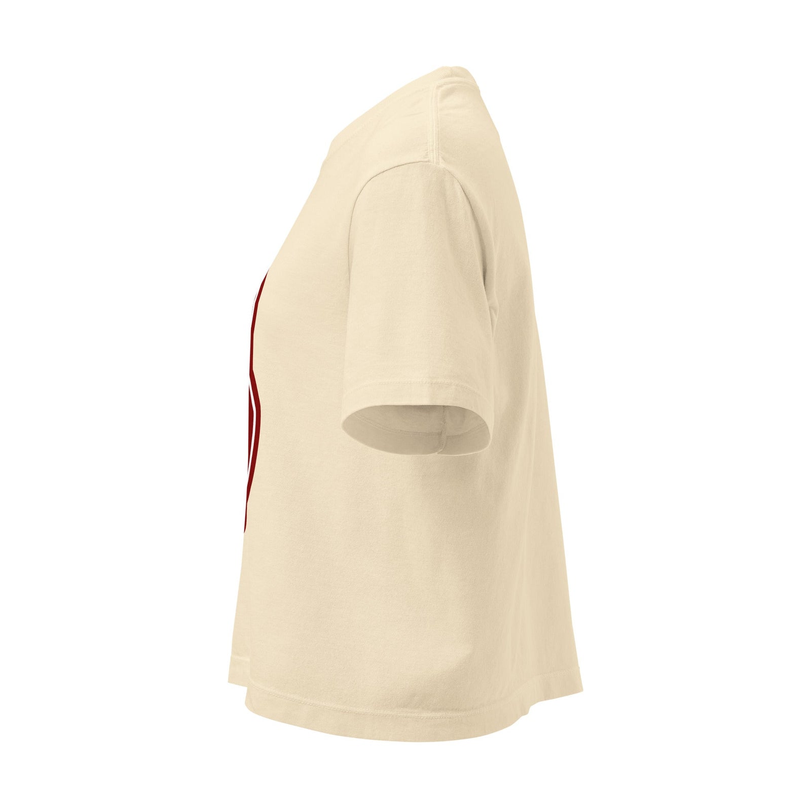 “Salukis #1 Foam Finger” Women’s Boxy Tee